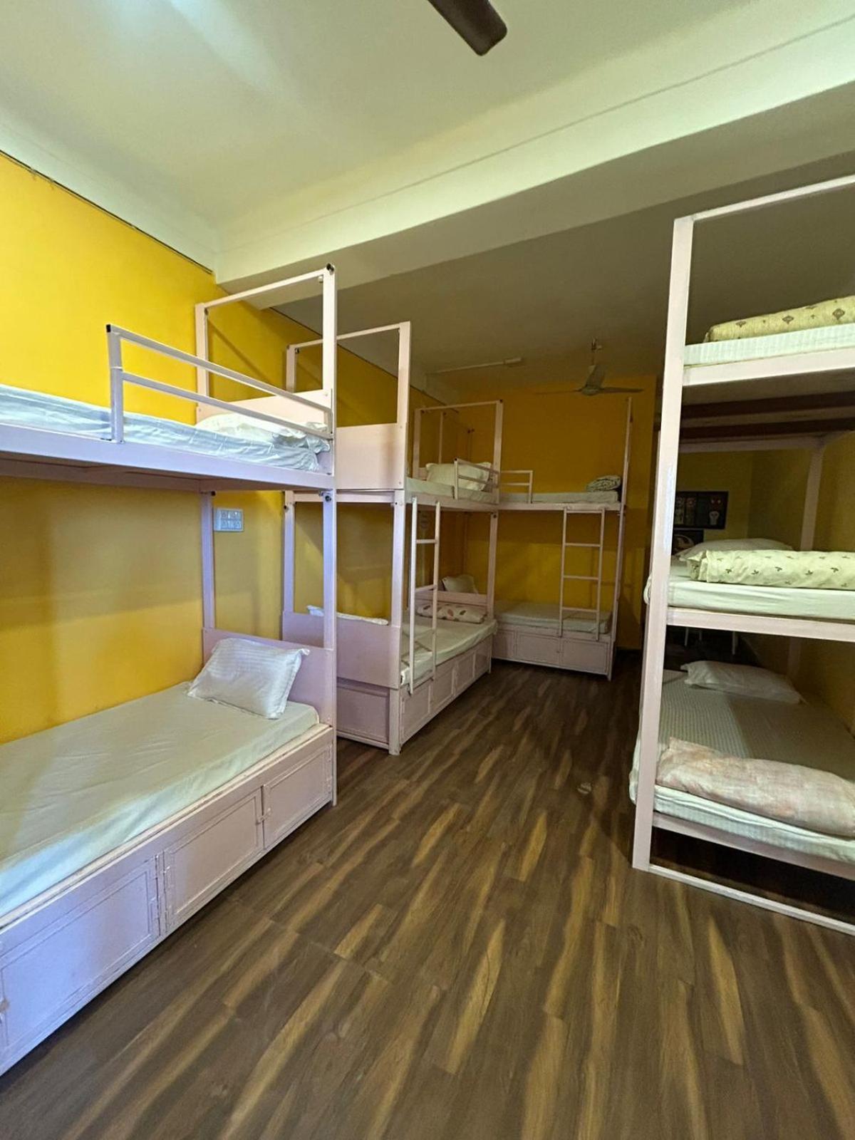 Unplanned Hostel Udaipur Eksteriør billede