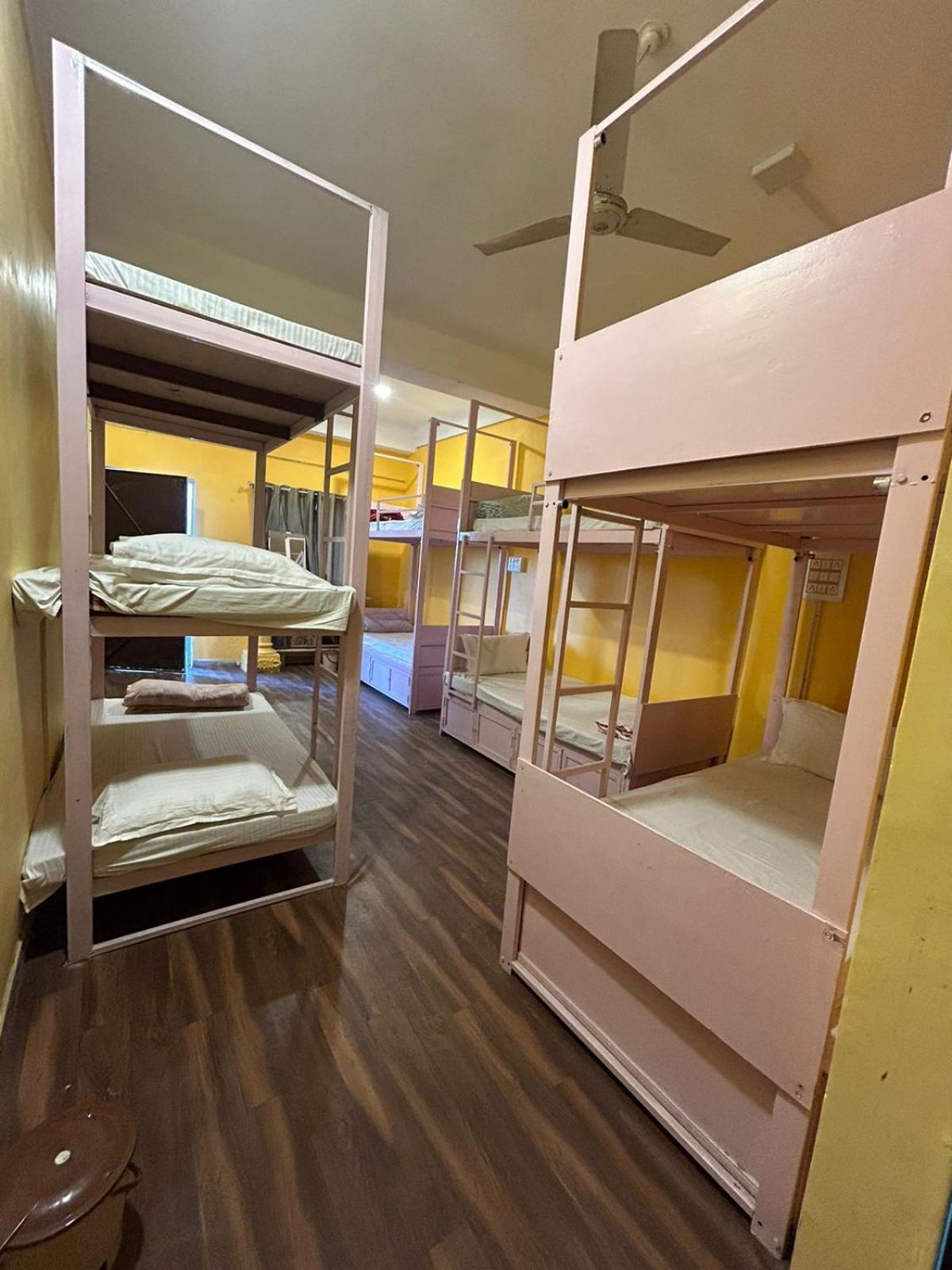Unplanned Hostel Udaipur Eksteriør billede
