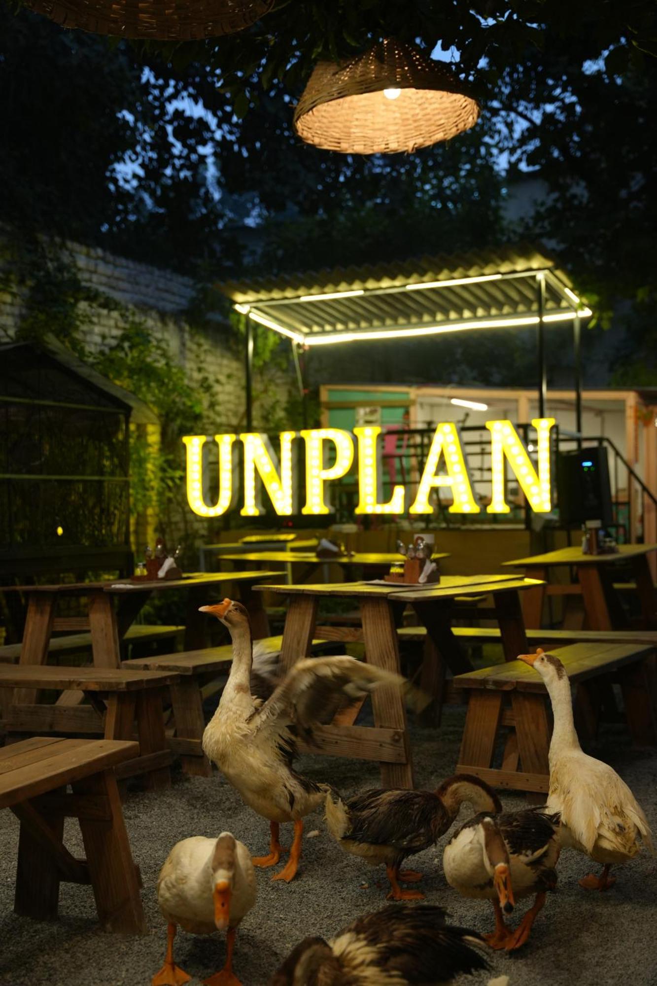 Unplanned Hostel Udaipur Eksteriør billede