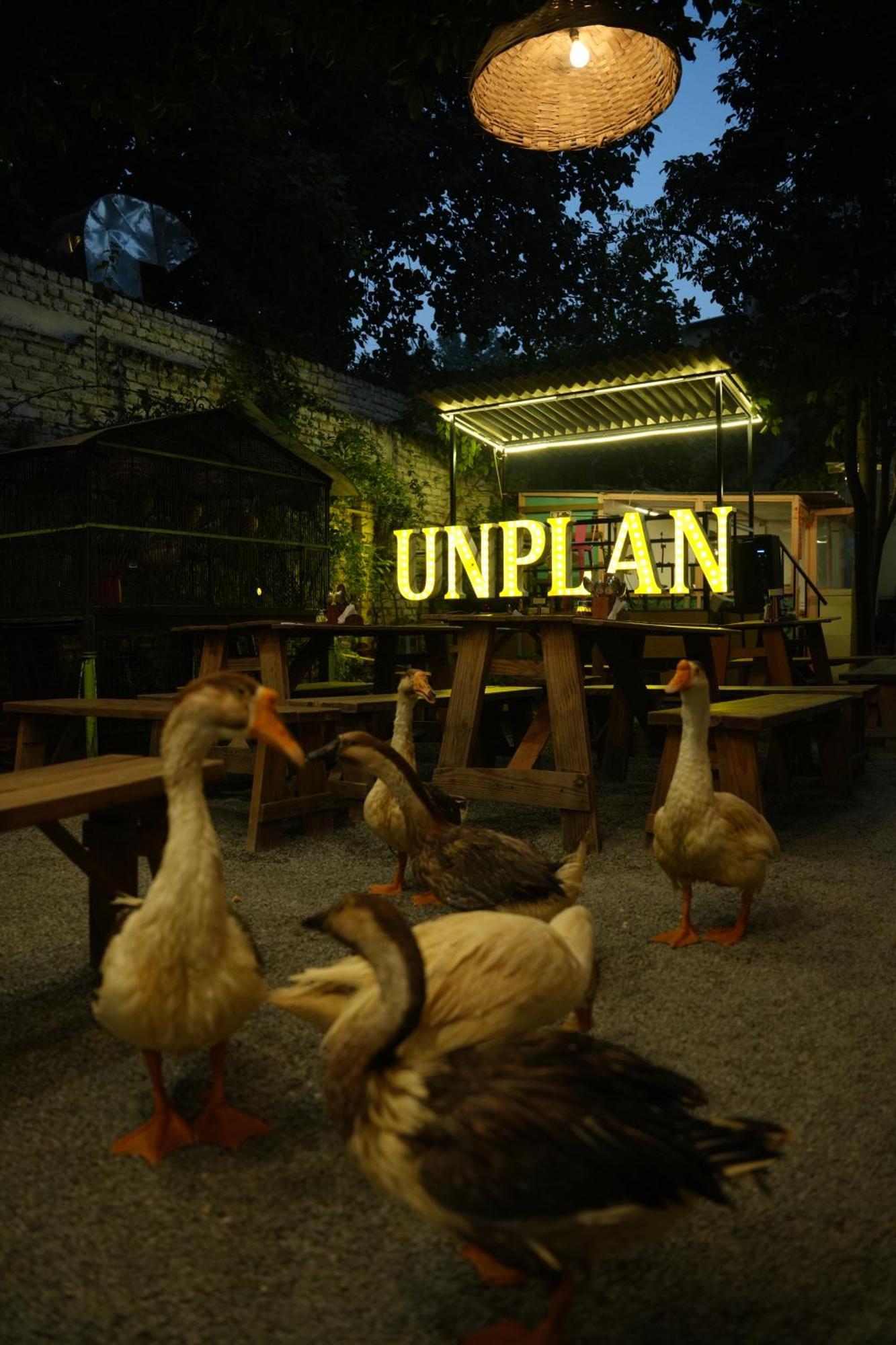 Unplanned Hostel Udaipur Eksteriør billede